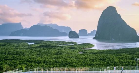 Красивый пейзаж в Пхукете с морем, скалами и зелеными мангровыми зарослями
