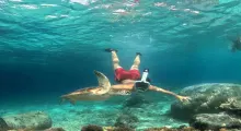A person in red shorts snorkeling underwater with a sea turtle in Phuket.