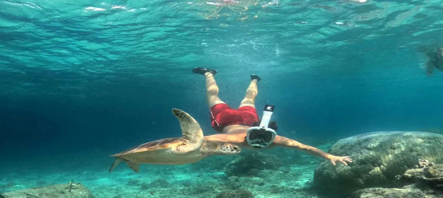 A person in red shorts snorkeling underwater with a sea turtle in Phuket.