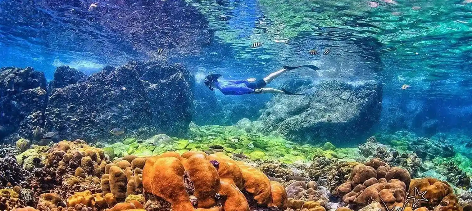 Snorkeler exploring vibrant coral reefs under clear water in Phuket.