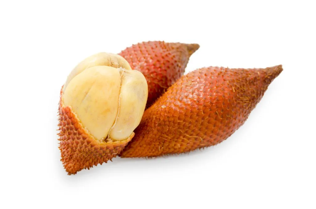 Красивая пляжная вилла в Пхукете с зелеными деревьями и спокойным озером.