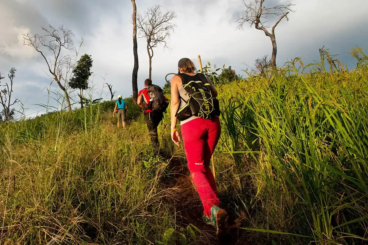 смотровые площадки 