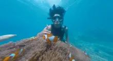 A person snorkels underwater in Phuket, interacting with clownfish near coral.