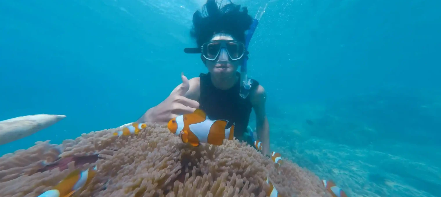 A person snorkels underwater in Phuket, interacting with clownfish near coral.