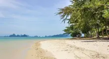 Serene beach in Phuket with clear water, soft sand, and lush trees lining the shore.
