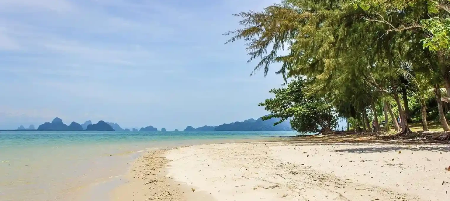 Serene beach in Phuket with clear water, soft sand, and lush trees lining the shore.