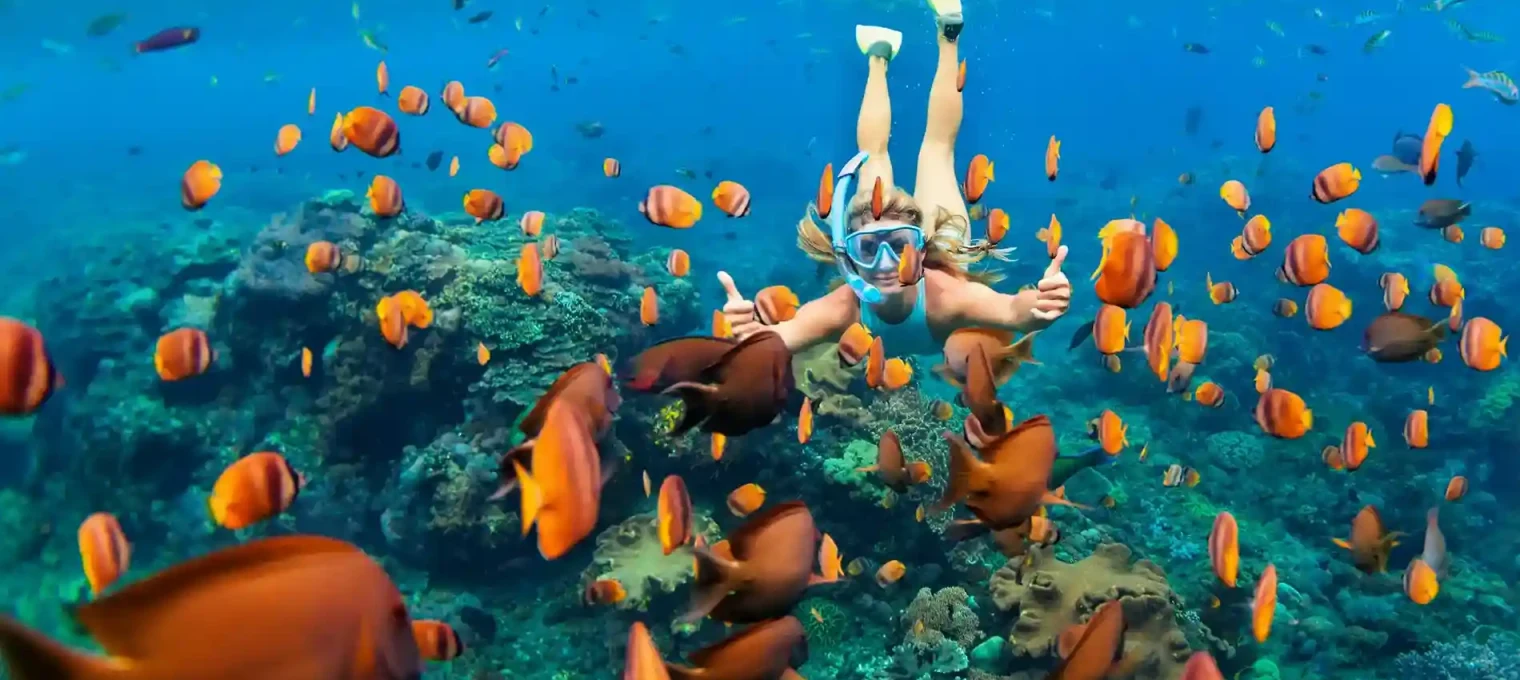 A snorkeler explores vibrant coral reefs surrounded by colorful fish in Phuket.