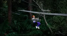 Person ziplining through lush greenery in Phuket, wearing an orange helmet and casual attire.