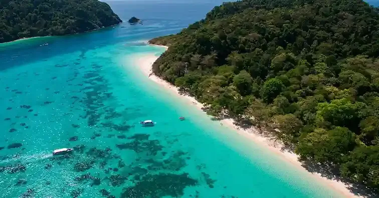 Aerial view of a tropical beach in Phuket with turquoise waters and lush greenery.