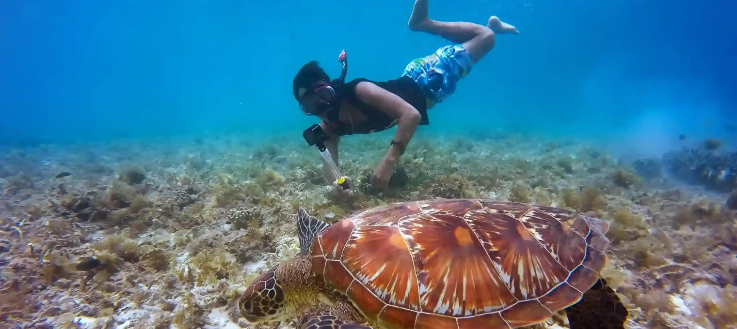 Ныряльщик наблюдает за морской черепахой на коралловом рифе в Пхукете.