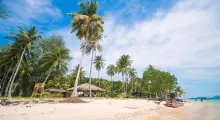 Tropical beach in Phuket with palm trees, a bamboo hut, and clear blue skies.