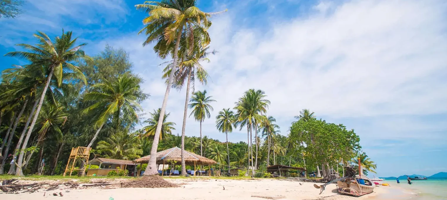 Tropical beach in Phuket with palm trees, a bamboo hut, and clear blue skies.