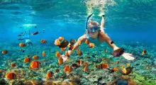 A snorkeler explores vibrant coral reefs surrounded by colorful tropical fish in Phuket.