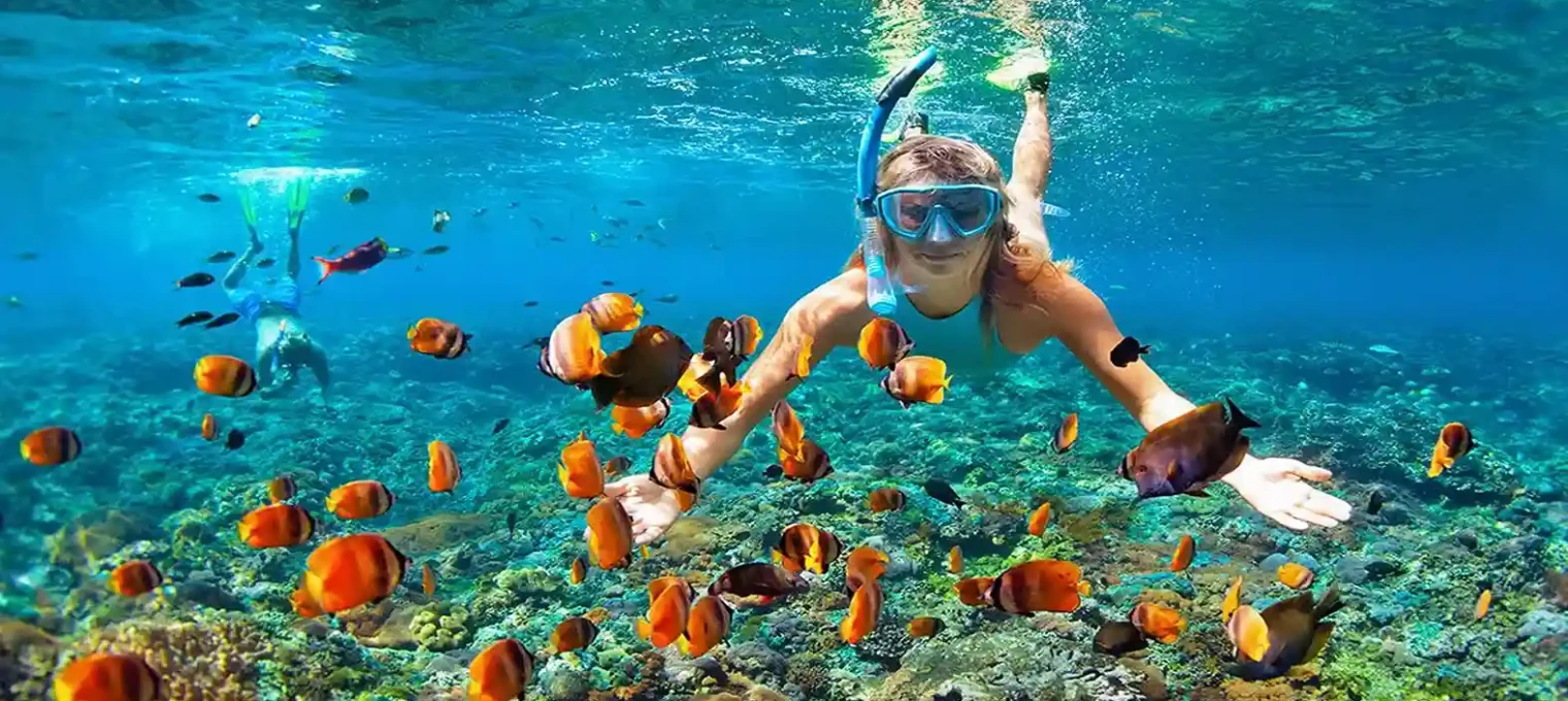 A snorkeler explores vibrant coral reefs surrounded by colorful tropical fish in Phuket.