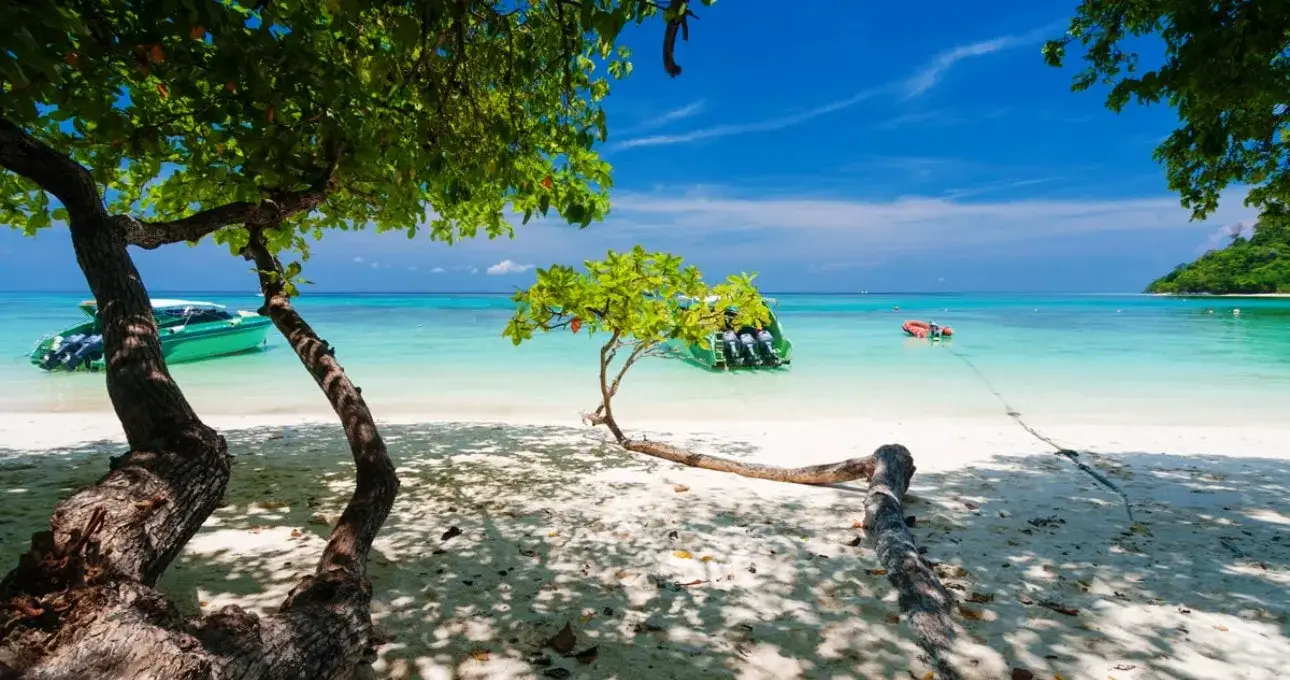 Secluded beach in Phuket with turquoise water, sandy shore, and lush green trees.