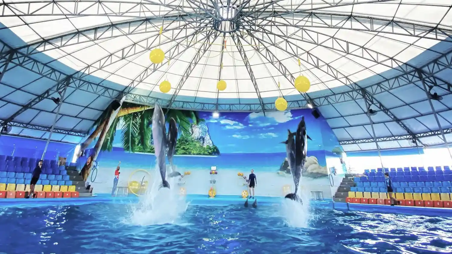 Dolphins performing tricks in an indoor arena in Phuket, Thailand, with a beach backdrop.