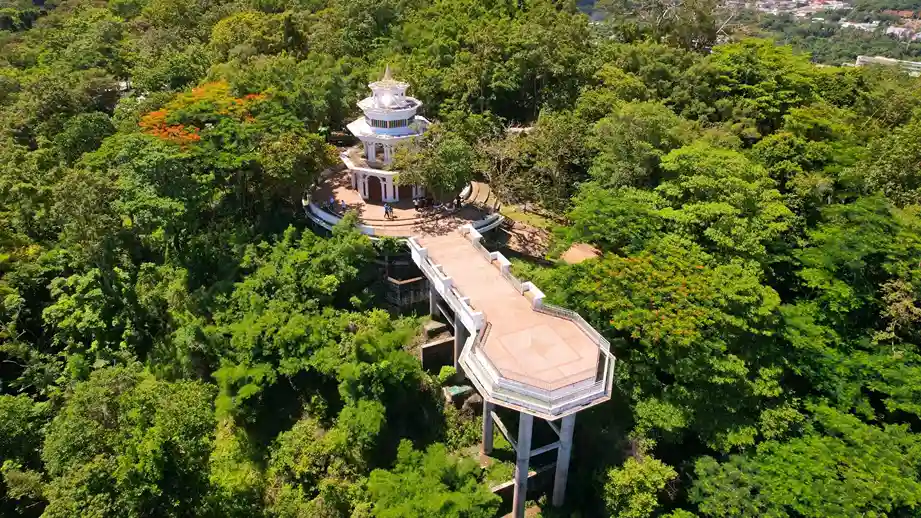 Смотровая площадка на холме с зелеными деревьями в Пхукете.