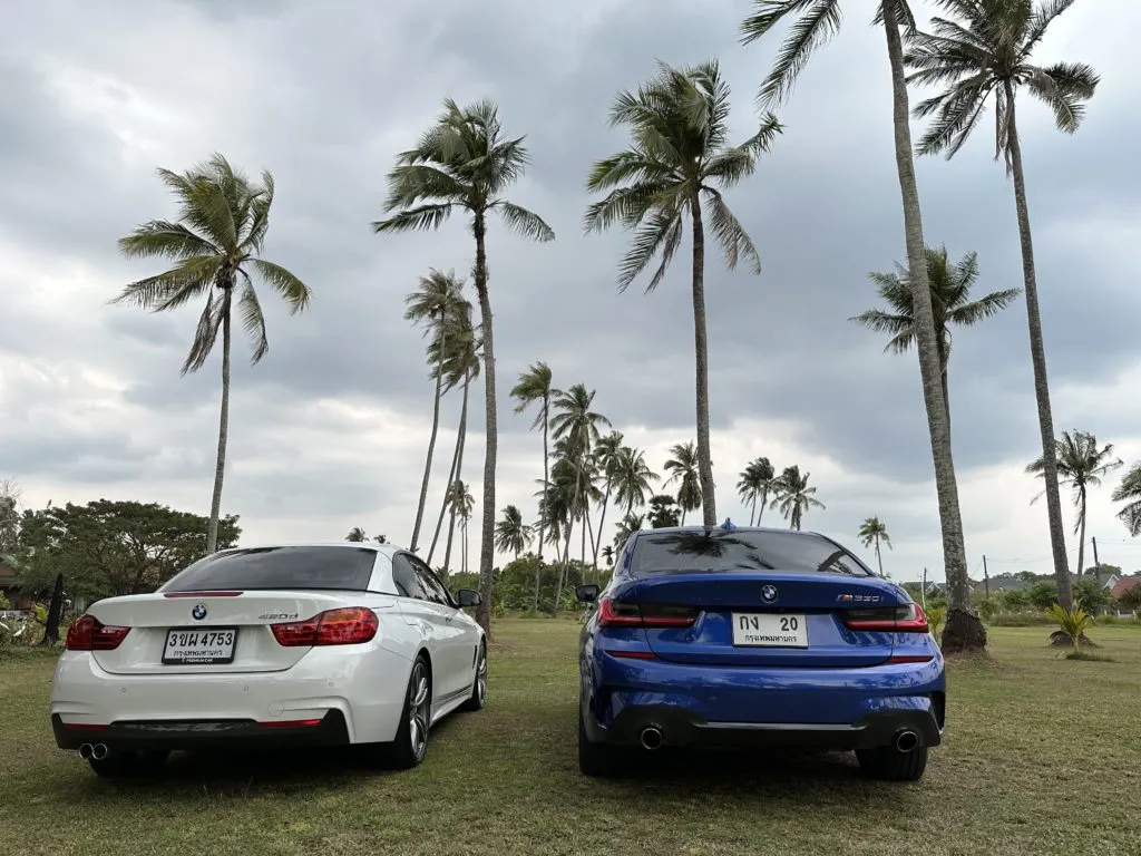 Two luxury cars parked on a grassy area in Phuket, surrounded by tall palm trees.