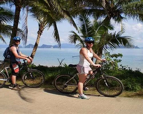 Cyclists enjoying a scenic bike ride along the beach in Phuket, surrounded by palm trees.