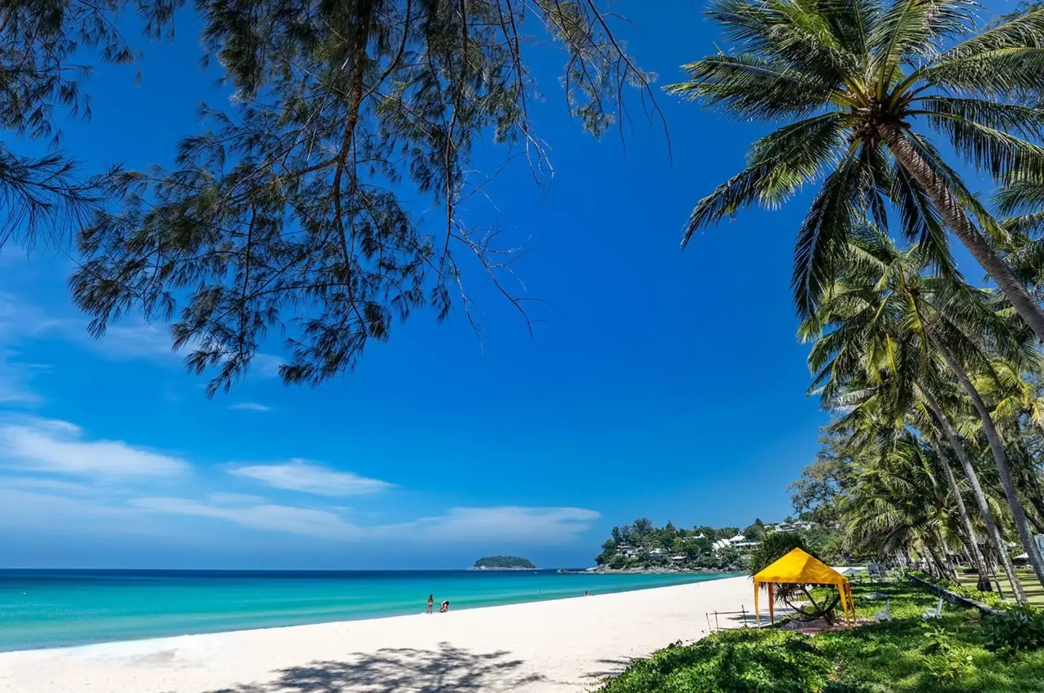 Golden sandy beach in Phuket with clear blue waters and palm trees under a sunny sky.