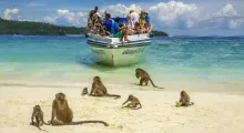 Tourists on a boat near monkeys on a beach in Phuket, Thailand, enjoying a sunny day.