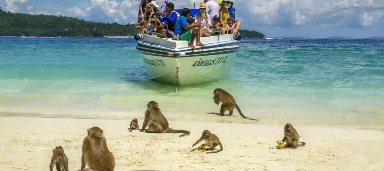 Tourists on a boat near monkeys on a beach in Phuket, Thailand, enjoying a sunny day.