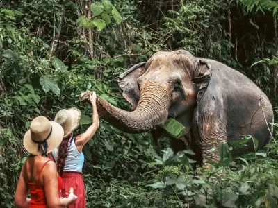 Phuket Ethical Elephant Sanctuaries