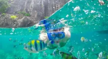 A person snorkeling in clear waters, surrounded by colorful tropical fish in Phuket.