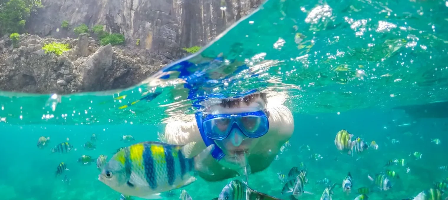 A person snorkeling in clear waters, surrounded by colorful tropical fish in Phuket.