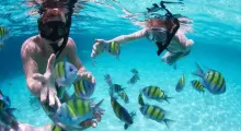 Two snorkelers observing colorful fish under clear blue water in Phuket.