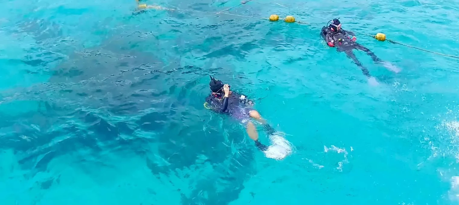 Two divers exploring clear turquoise waters in Phuket, surrounded by yellow buoys.
