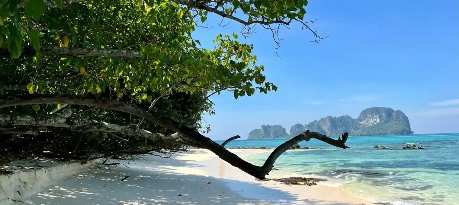 Idyllic beach scene in Phuket with white sand, clear water, and lush green trees.