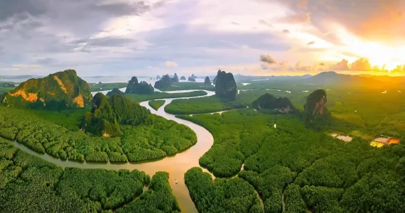 Lush green mangroves and winding rivers under a vibrant sunset in Phuket, Thailand.