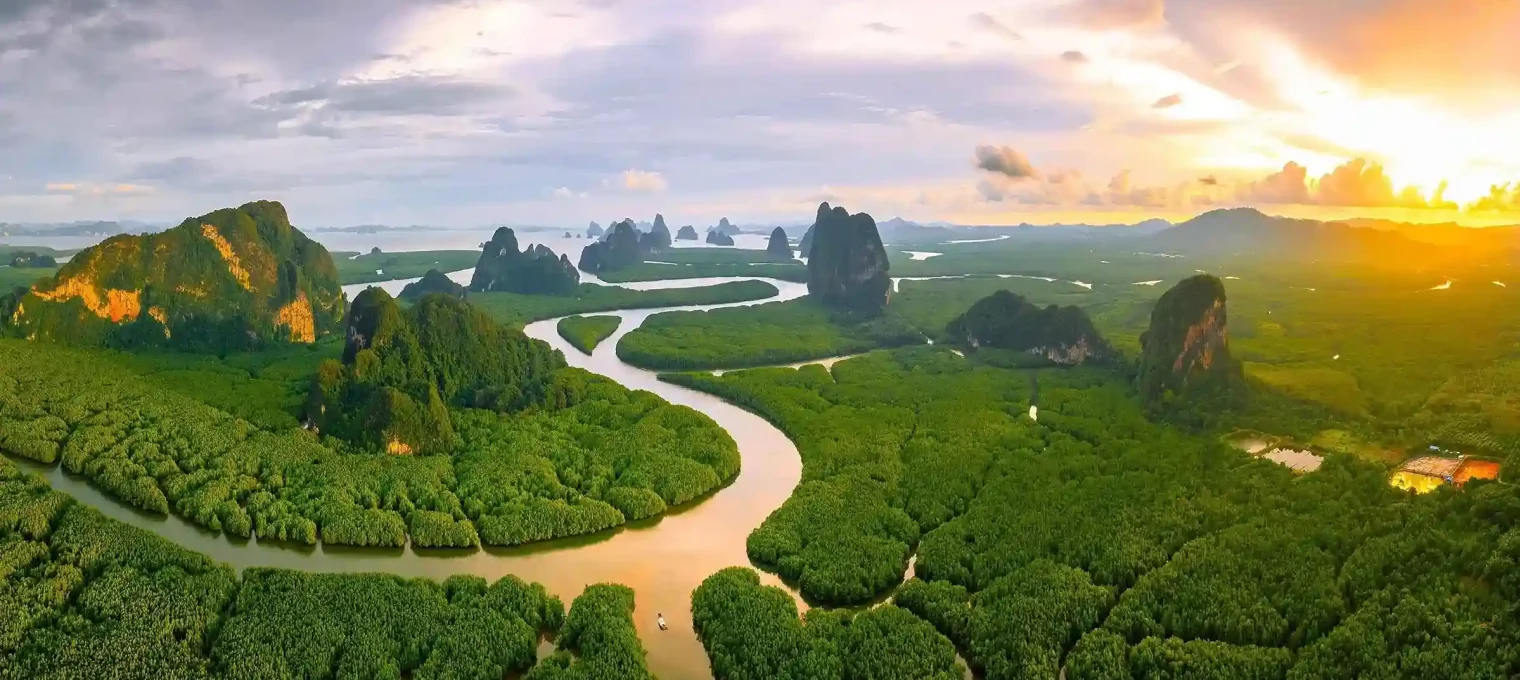 Lush green mangroves and winding rivers under a vibrant sunset in Phuket, Thailand.