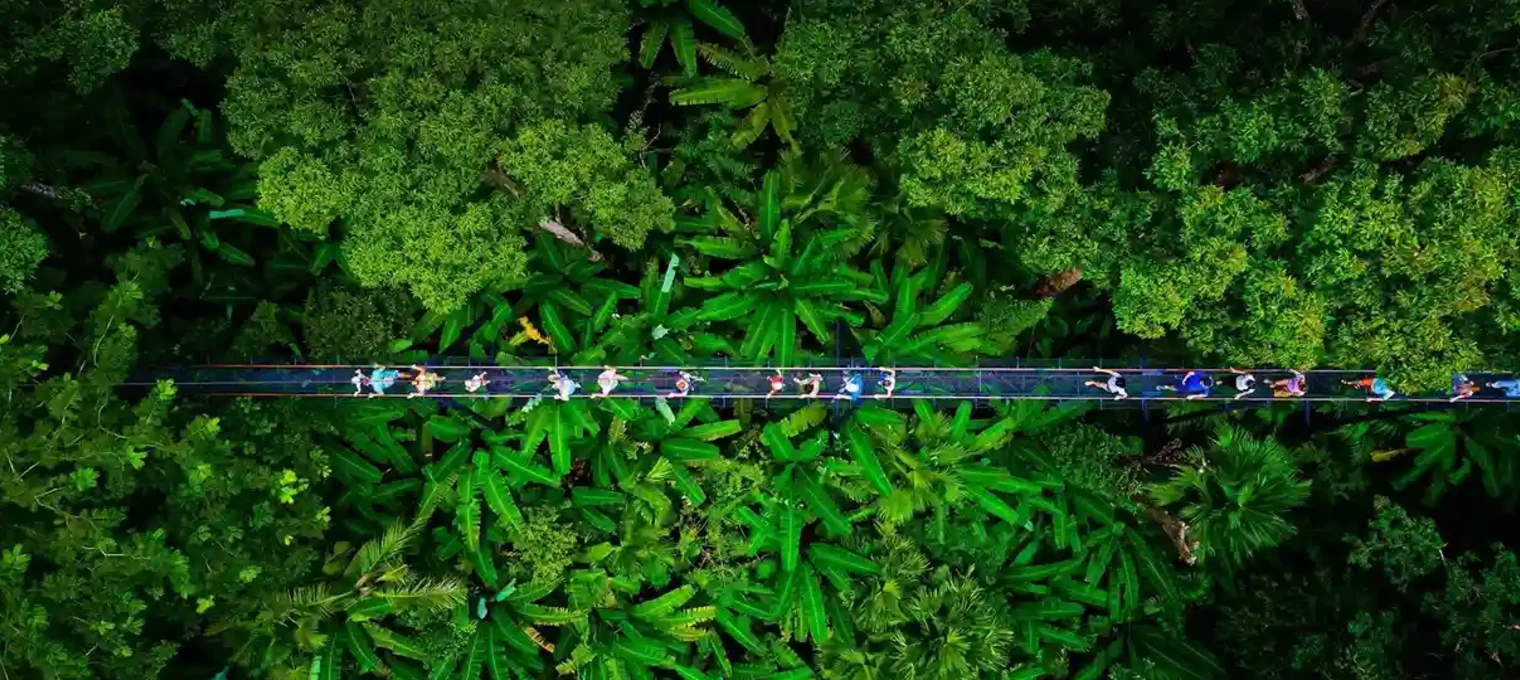 Tourists walking on a suspension bridge surrounded by lush green trees in Phuket.