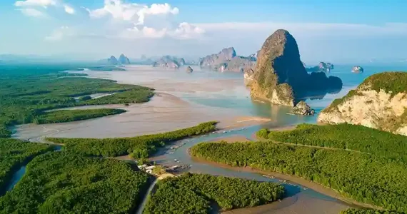 Aerial view of lush green mangroves and limestone cliffs in Phuket, Thailand.