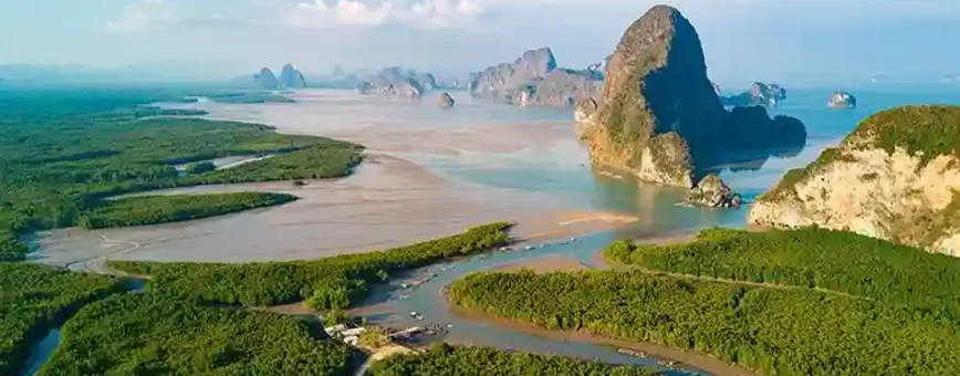 Aerial view of lush green mangroves and limestone cliffs in Phuket, Thailand.