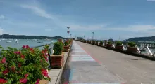 Scenic walkway in Phuket lined with flowers and boats in the harbor.