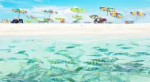 Colorful beach umbrellas over a sandy shore with clear water and tropical fish swimming.