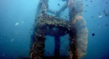 Underwater view of a coral-covered structure with fish swimming around it in Phuket.