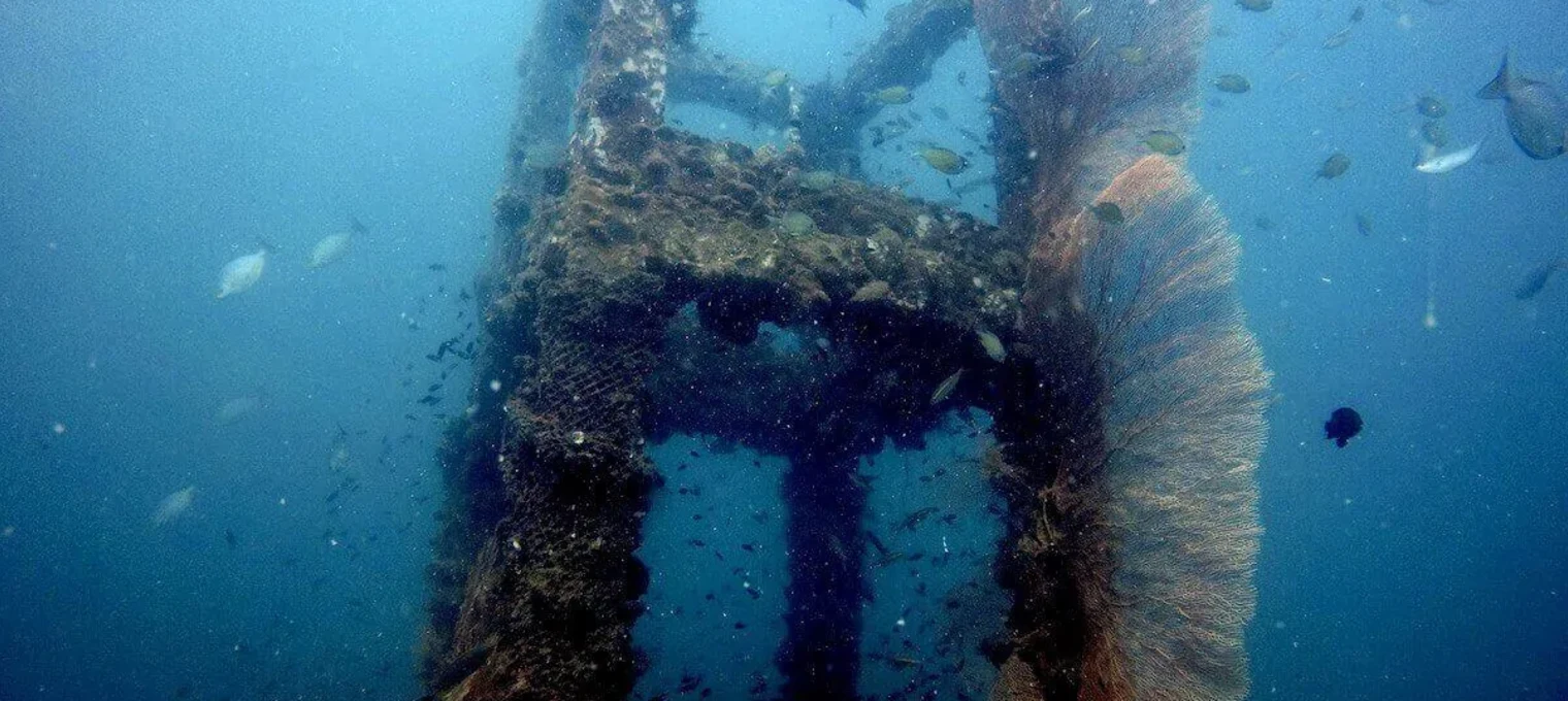 Underwater view of a coral-covered structure with fish swimming around it in Phuket.
