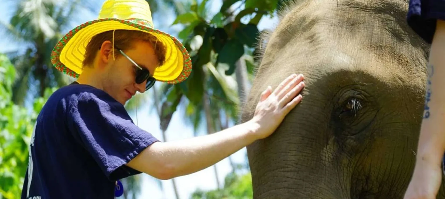 A young man in sunglasses and a straw hat gently pets an elephant in Phuket.