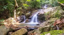Serene waterfall cascading over rocks in lush Phuket jungle.