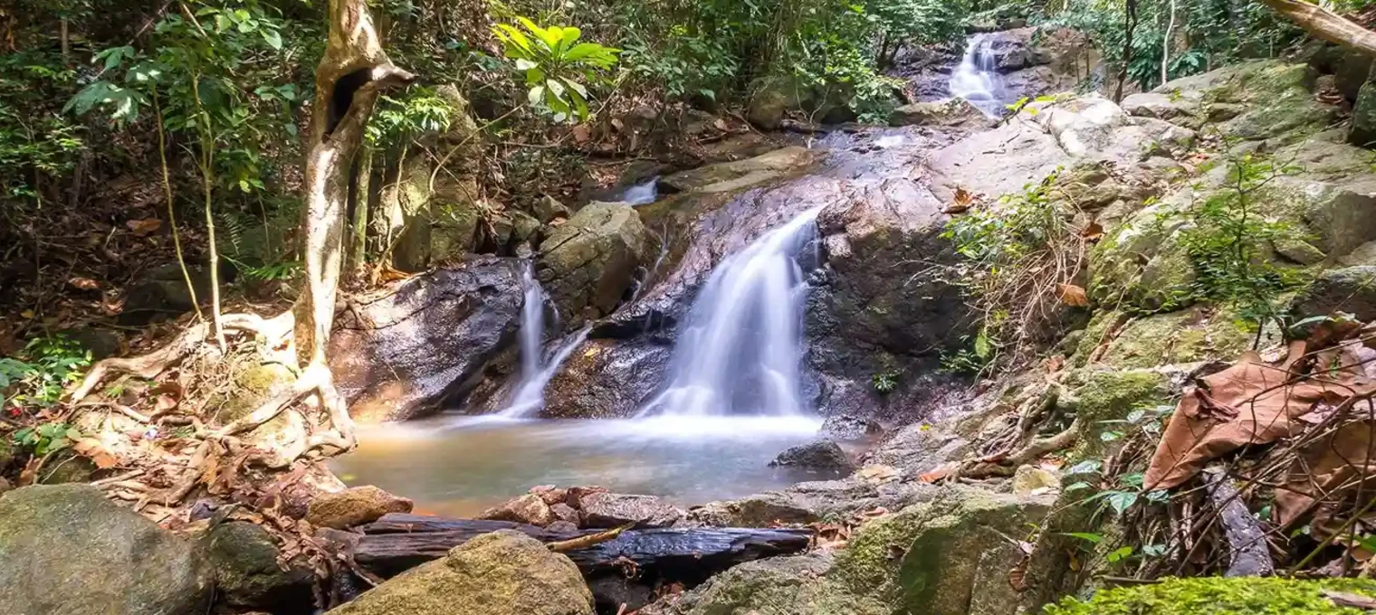 Serene waterfall cascading over rocks in lush Phuket jungle.