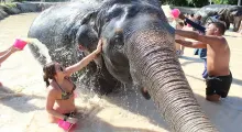 A woman playfully interacts with an elephant while enjoying a water splash in Phuket.