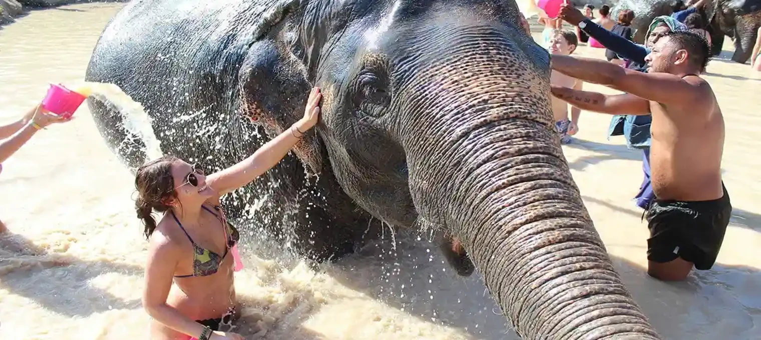 A woman playfully interacts with an elephant while enjoying a water splash in Phuket.
