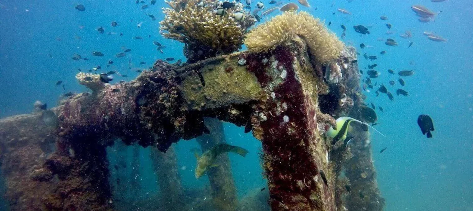 Underwater scene of a coral-covered shipwreck teeming with colorful fish in Phuket.