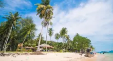 Tropical beach in Phuket with palm trees, clear sky, and traditional boat on the sand.