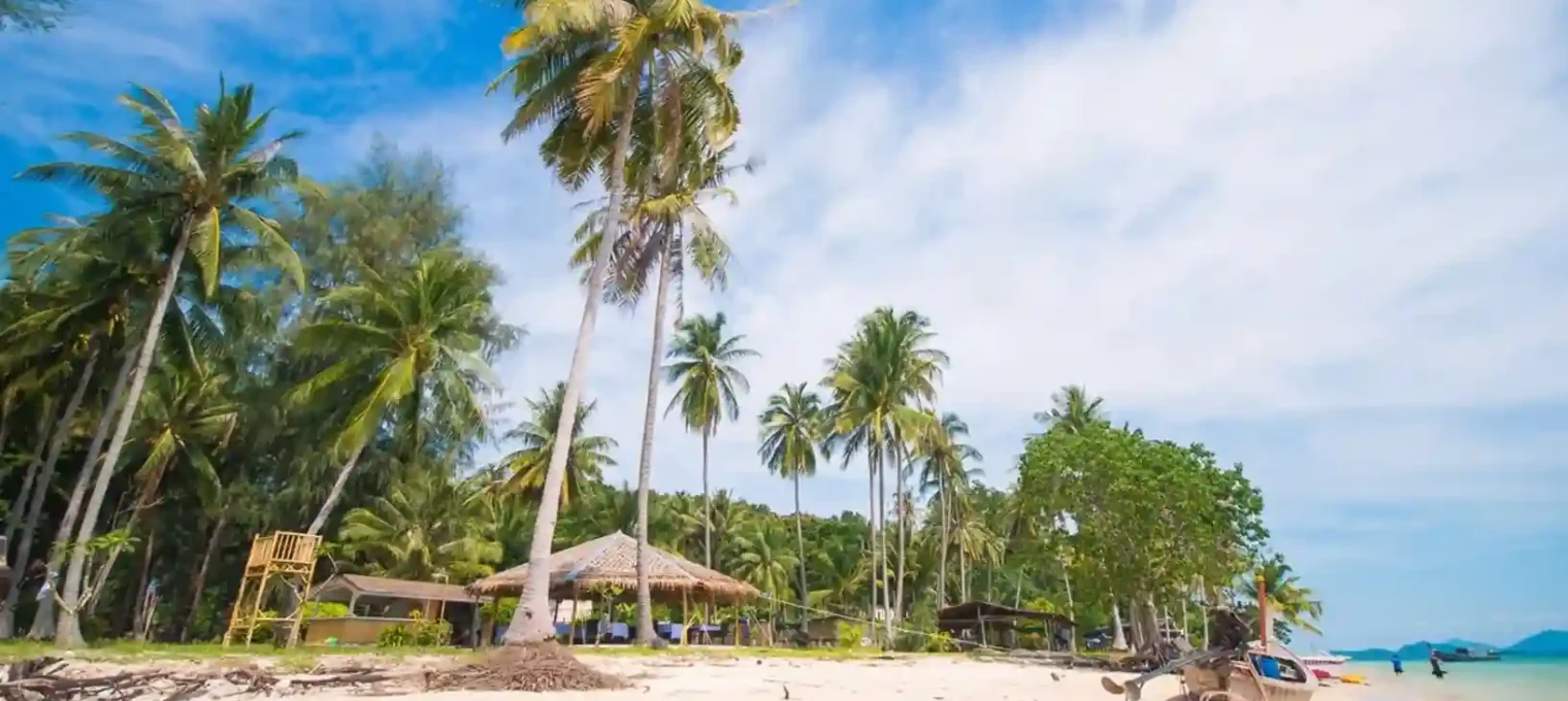 Tropical beach in Phuket with palm trees, clear sky, and traditional boat on the sand.