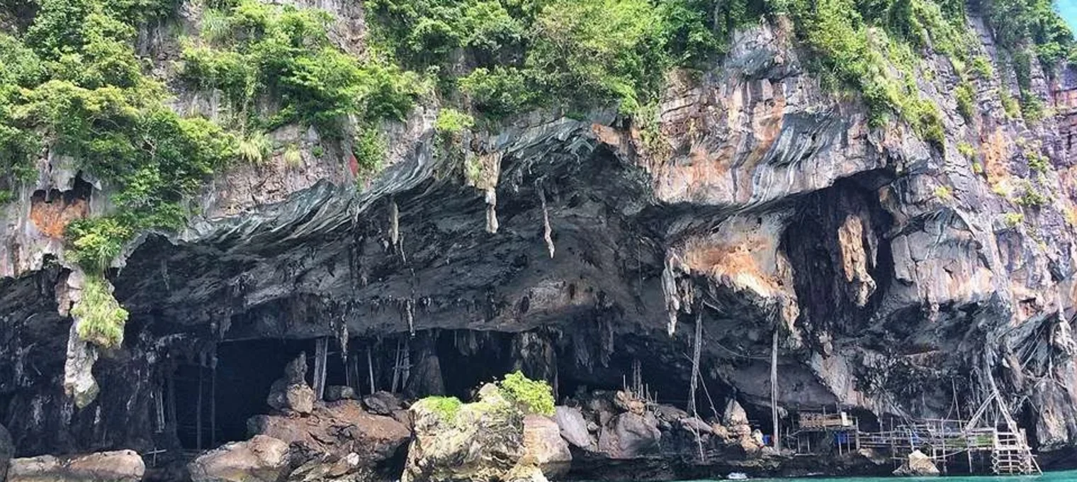 Lush rocky cliffs and cave formations near turquoise waters in Phuket, Thailand.
